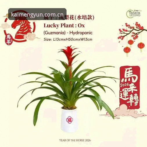 开运KAIYUN官网功能详解 开运KAIYUN官网功能详解与操作教程:2026新版体育平台使用指南